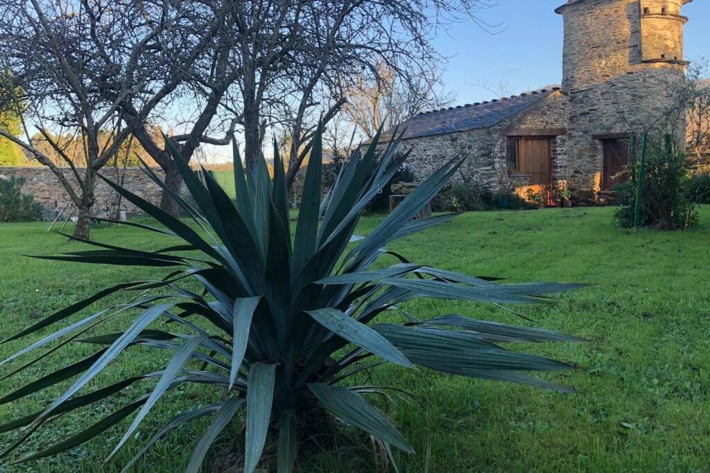 Apartamento Turistico Con Precioso Jardin - Los Gayoles Rural Castropol Exteriör bild