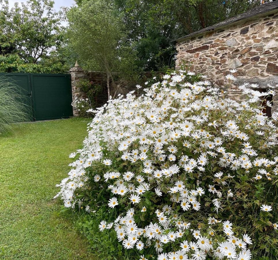 Apartamento Turistico Con Precioso Jardin - Los Gayoles Rural Castropol Exteriör bild